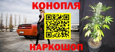 скорость Шелехов