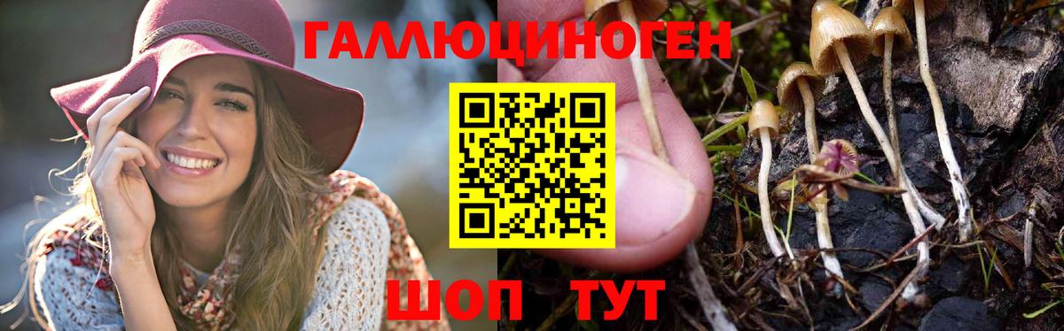 Бахчисарай  Галлюциногенные грибы GOLDEN TEACHER  Галлюциногенные грибы Magic Shrooms  Вход с VPN 